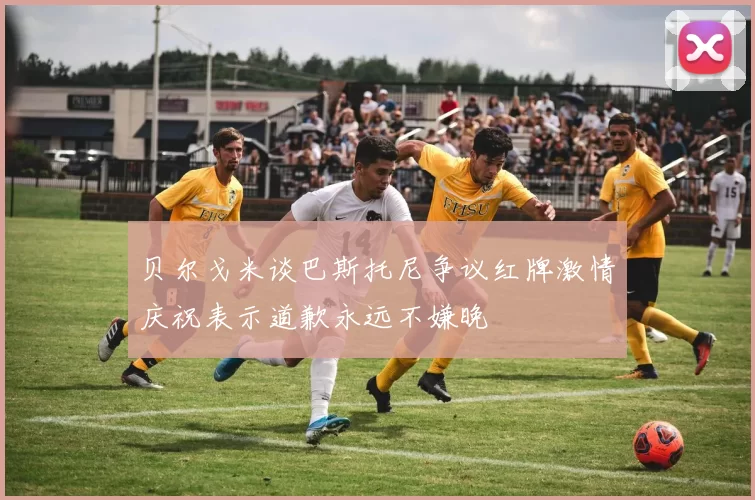贝尔戈米谈巴斯托尼争议红牌激情庆祝表示道歉永远不嫌晚